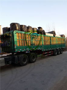 【室內隔音板多少錢一平米隔音板安裝步驟詳解】-